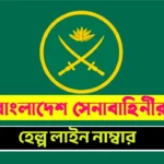 army helpline number